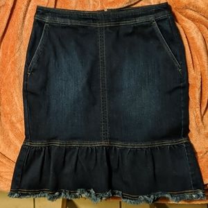 Ann Taylor Petite Denim Pencil Skirt